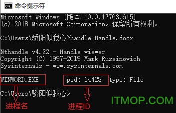 Windows进程管理小工具Handlev4.22 绿色版