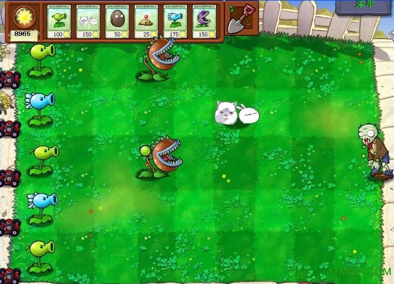 植物大战僵尸中文恶搞版免费版