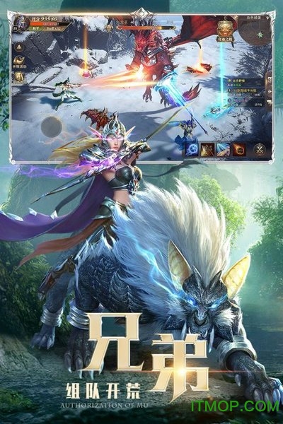 审判之光之暗黑秩序v1.0.0 安卓版