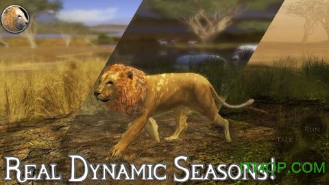 终极狮子模拟器2(Ultimate Lion Simulator 2)v1.1 安卓汉化版