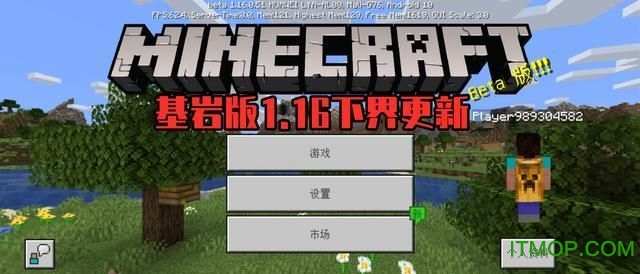 我的世界基岩版1.16下载手机版