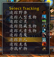 魔兽世界怀旧服Tracking Eye插件免费版