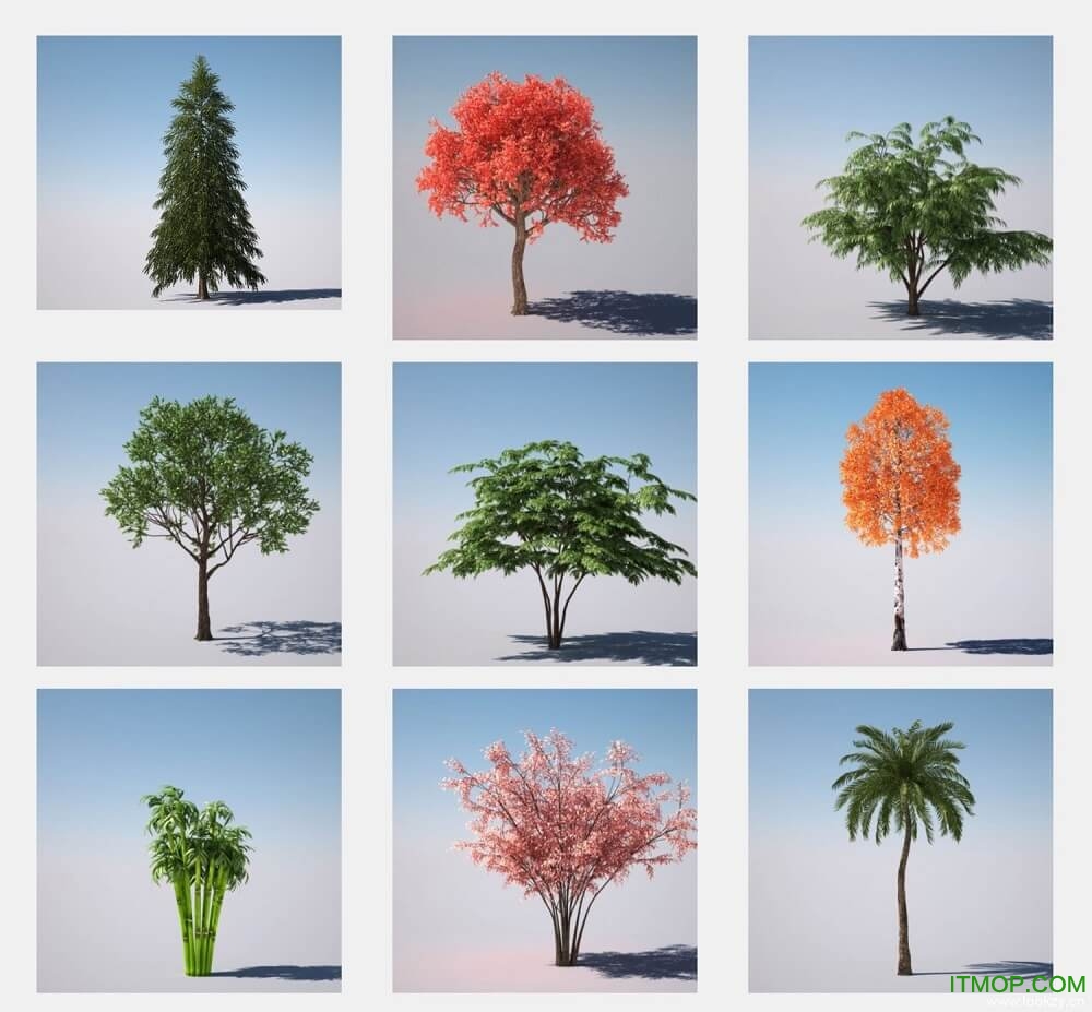 C4D植物树木快速生成动画插件ForesterR19R20 中文汉化版