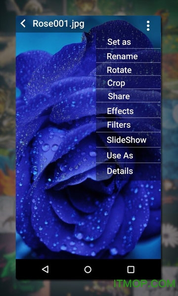 gallery官方版