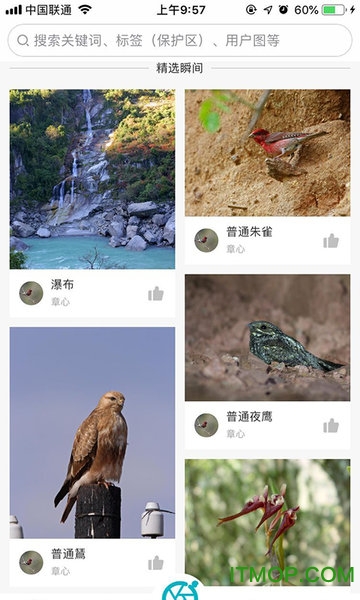 云上中国app