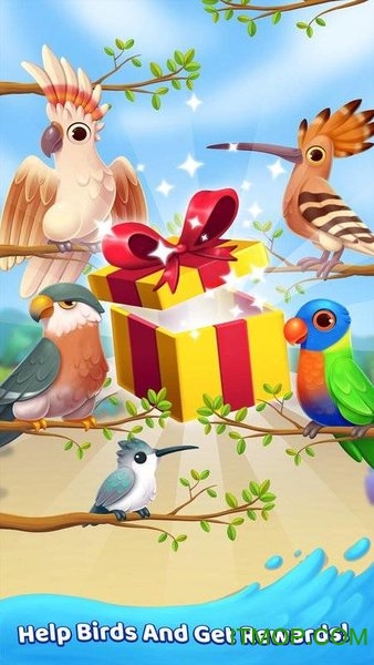 Island Adventure三消游戏v1.8.3 安卓版