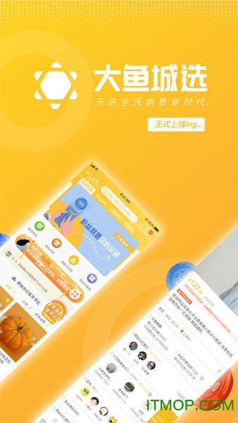 大鱼城选电商平台v2.0.0 安卓版