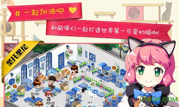 猫猫咖啡屋手游v10.0.12 安卓版