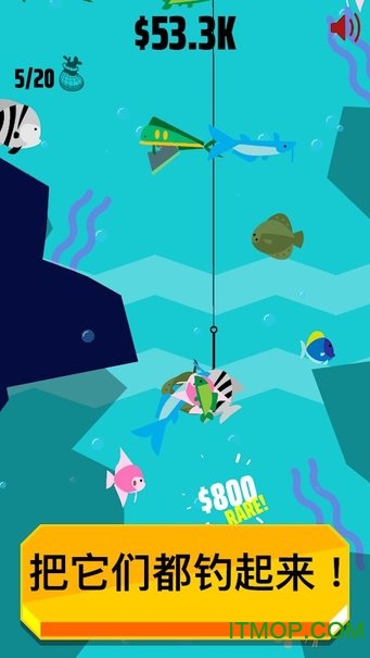 Go Fish游戏