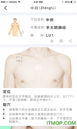 经络穴位图解appv6.4.0安卓版