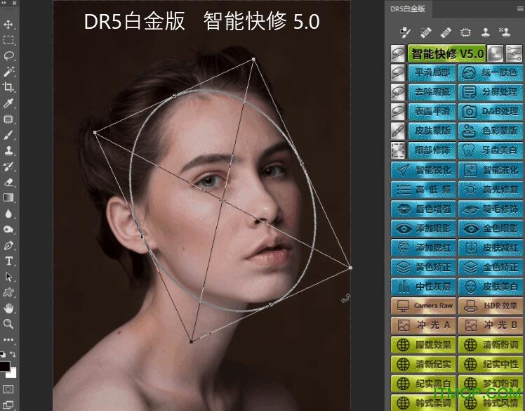 dr5高级版下载