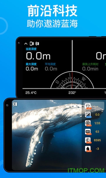 Dive+v3.3.7 安卓版