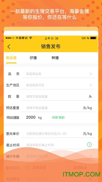 金猪岛app下载