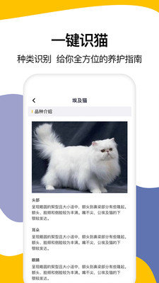 猫语翻译大全v1.6安卓版