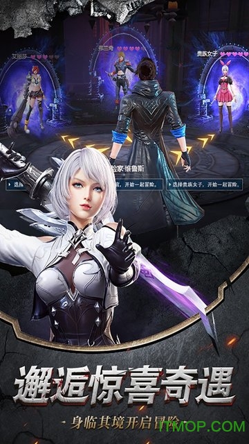 圣域传奇幻城游戏下载