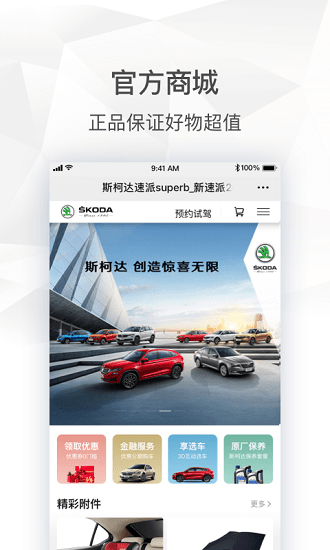 斯柯达车机互联