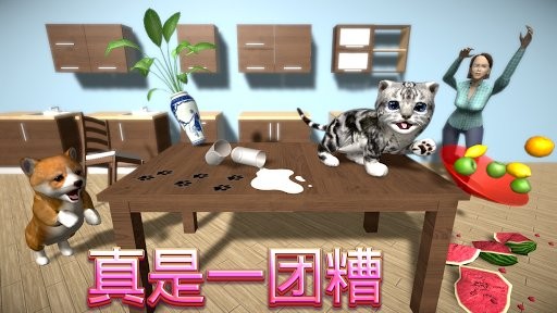 猫咪模拟器3D下载