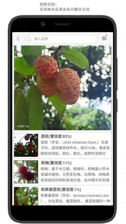 行色识花app