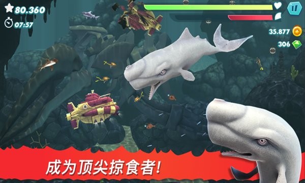 饥饿大白鲨中文版v1.2 安卓版