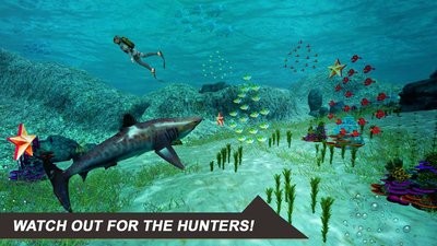 大白鲨模拟器(Shark Sim)v1.0 安卓版