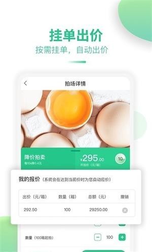 道农拍手机版v1.0 安卓版