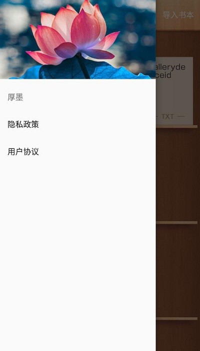 厚墨阅读器