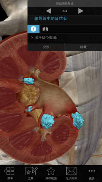 生理和病理学(PhysiologyPathology)v1.1.10 安卓版