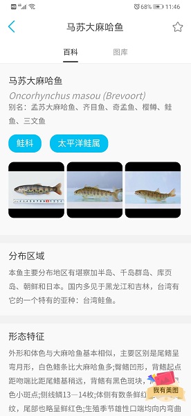 看鱼v2.5.2安卓版