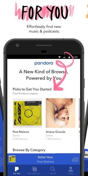 Pandora安装包