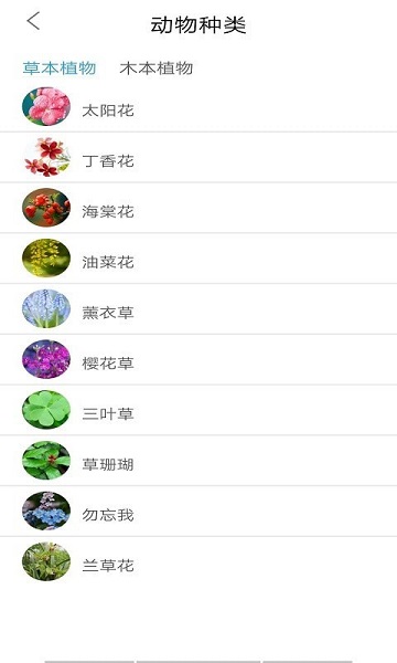 桃桃识植物最新版v1.0 安卓版