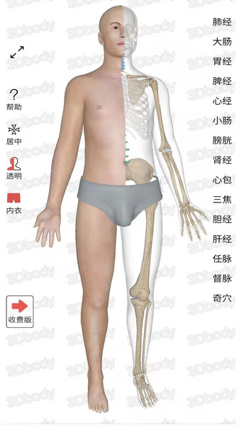 经络穴位3D