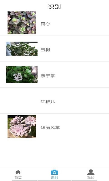 品植v1.0 安卓版