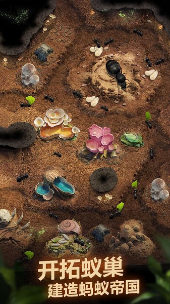 小小蚁国官服手机版(The Ants)v1.48.0安卓官方手机版