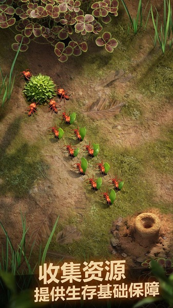 小小蚁国国际版(The Ants)v1.64.0安卓版