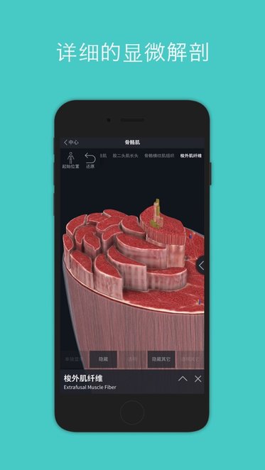 Complete Anatomy2022苹果版v 9.7.0iPhone版