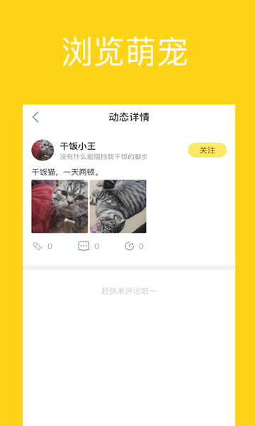 宠萌小窝v1.0.0 安卓版