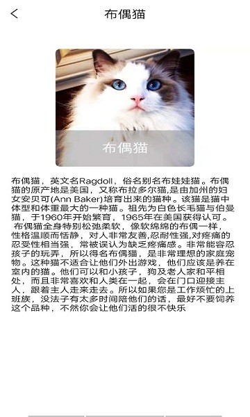 贝贝宠物百科手机版v1.0 安卓版