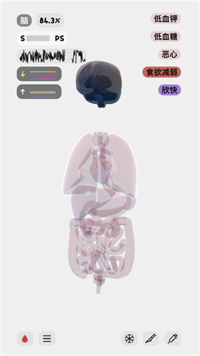 生命人体模拟器life汉化版v1.0 安卓版