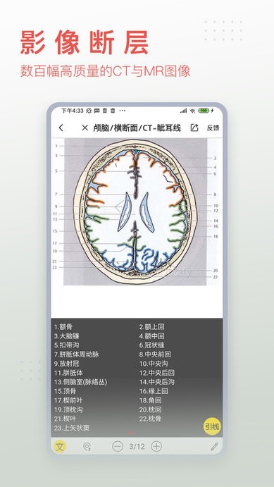 3dbody解剖学appv8.8.20安卓版