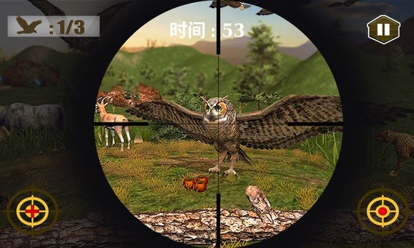 3D猫头鹰狩猎模拟v1.0 安卓版