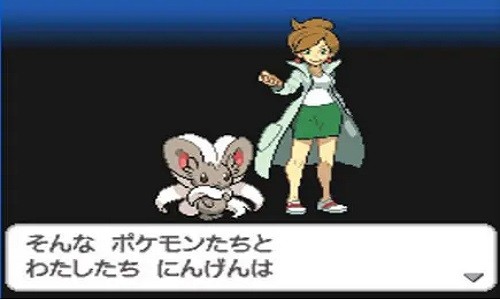 口袋妖怪黑2中文版