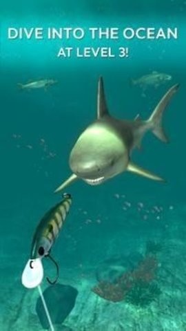 拉帕拉钓鱼每日渔获免费版v1.6.16 安卓版