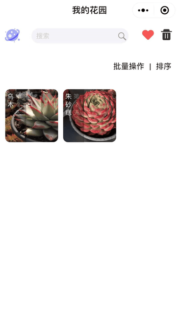 多肉圈最新版v4.0安卓版