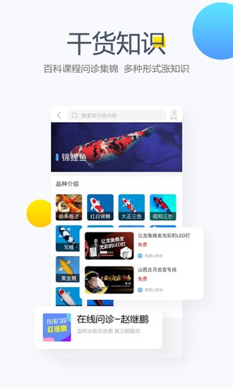 龙巅论坛appv7.0.5安卓版