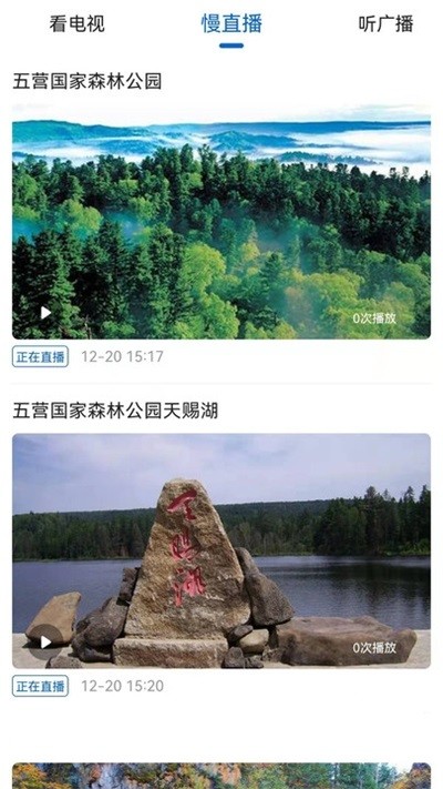 林都伊春app