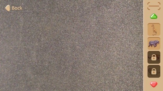Wenno动物模型