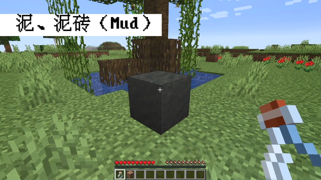 我的世界国际版1.19版本