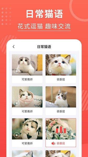 喵星人翻译器app3.2.5 安卓版