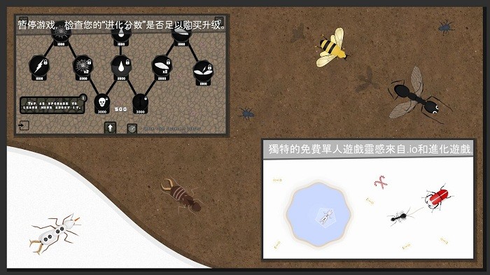 蚂蚁进化2d版(Ant Evolution)