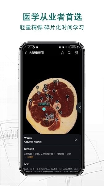 掌上3D解剖手机版v2.6.3安卓版